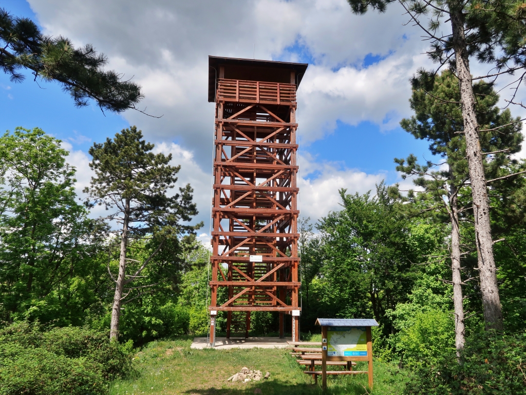 medvehgyma tanösvény2